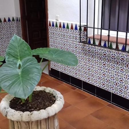 Apartamento Patio Pompeyos Córdoba Exterior foto