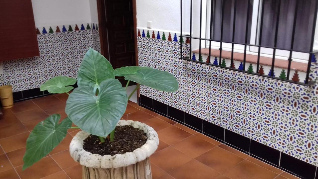 Apartamento Patio Pompeyos Córdoba Exterior foto